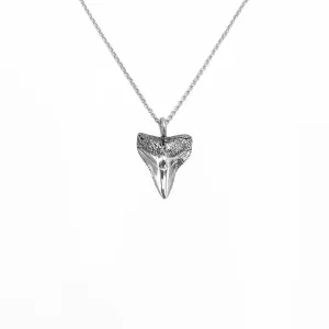 Bull Shark Straight Tooth Necklace