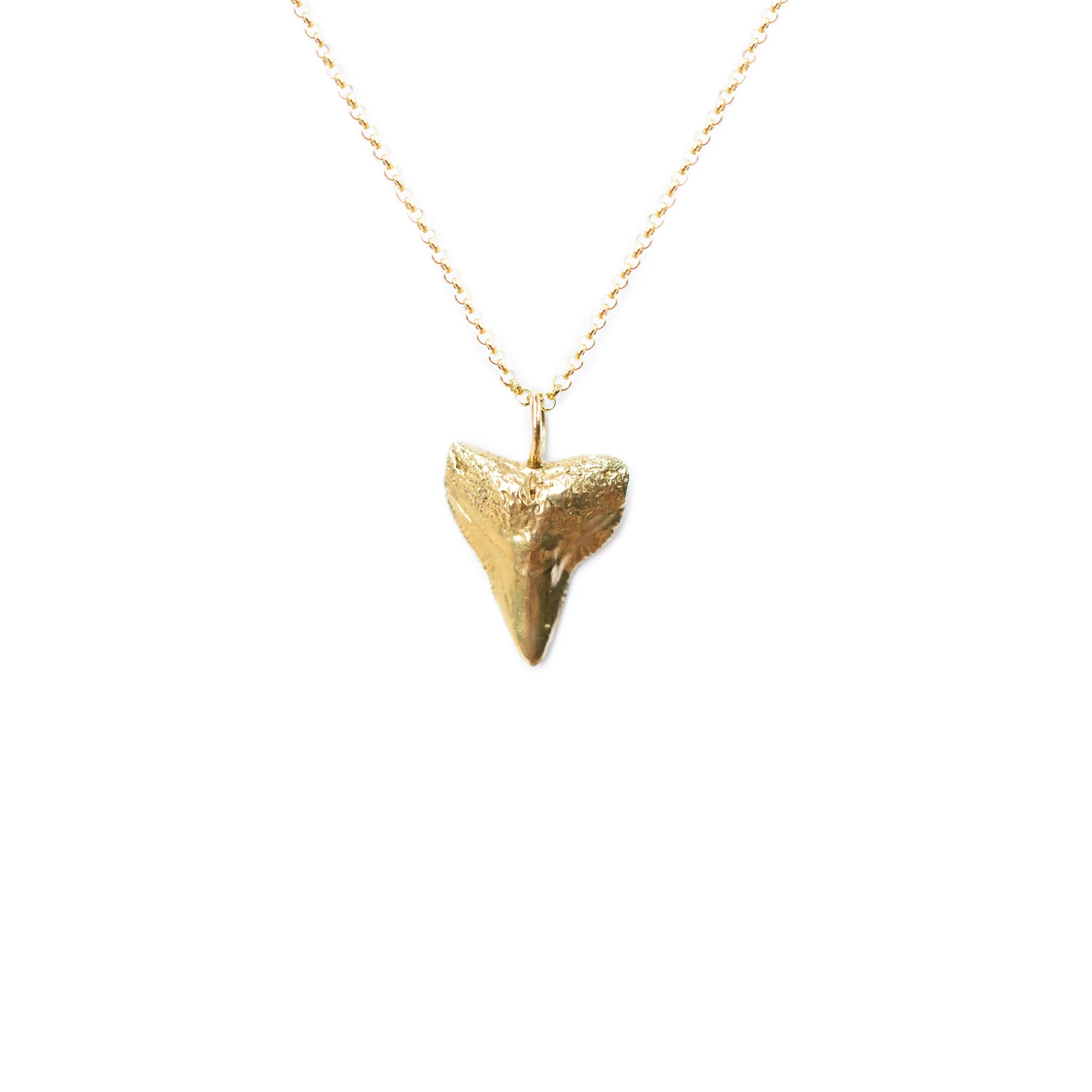 Bull Shark Straight Tooth Necklace