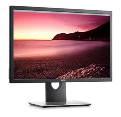 Dell 22 Monitor P2217