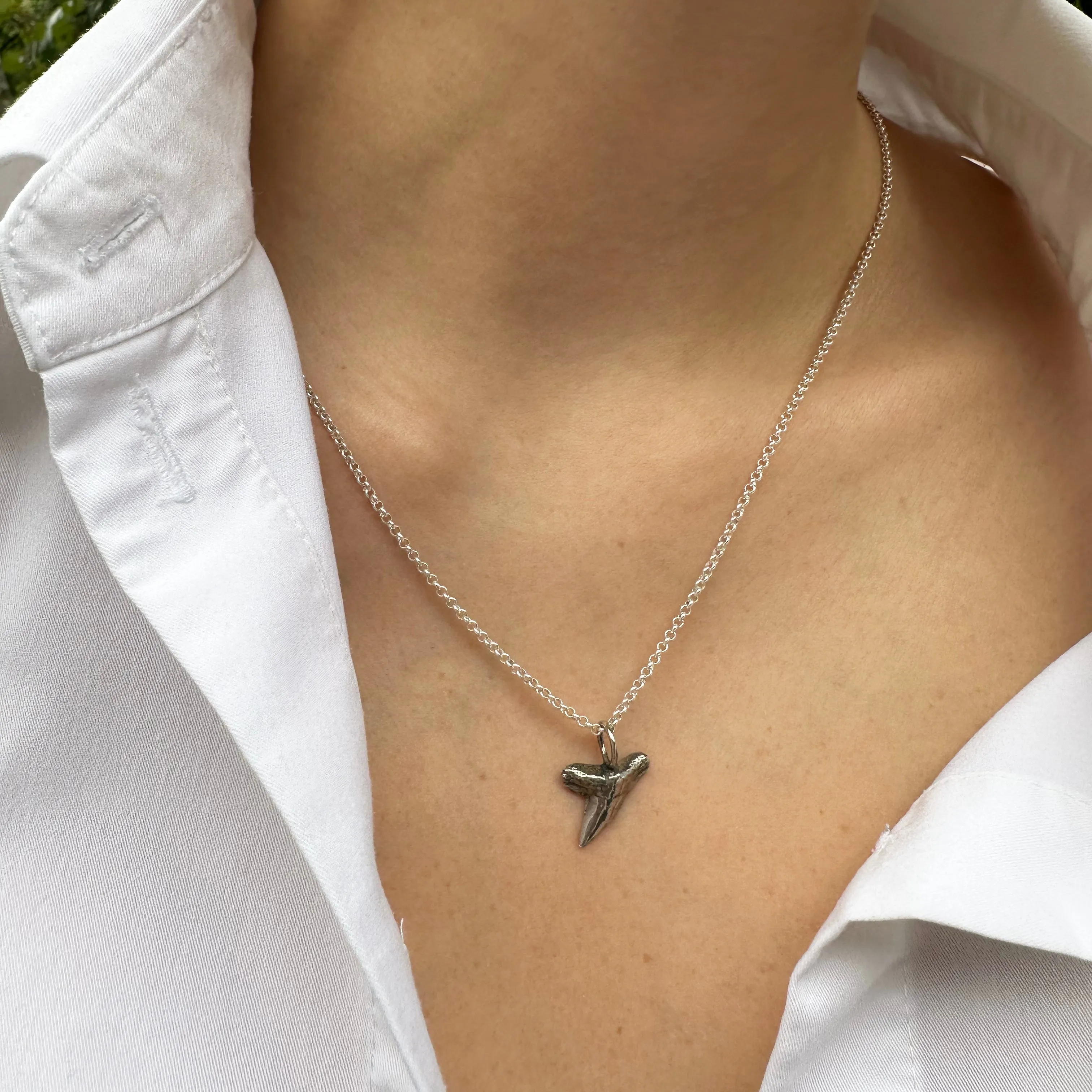 Hammerhead Shark Tooth Necklace