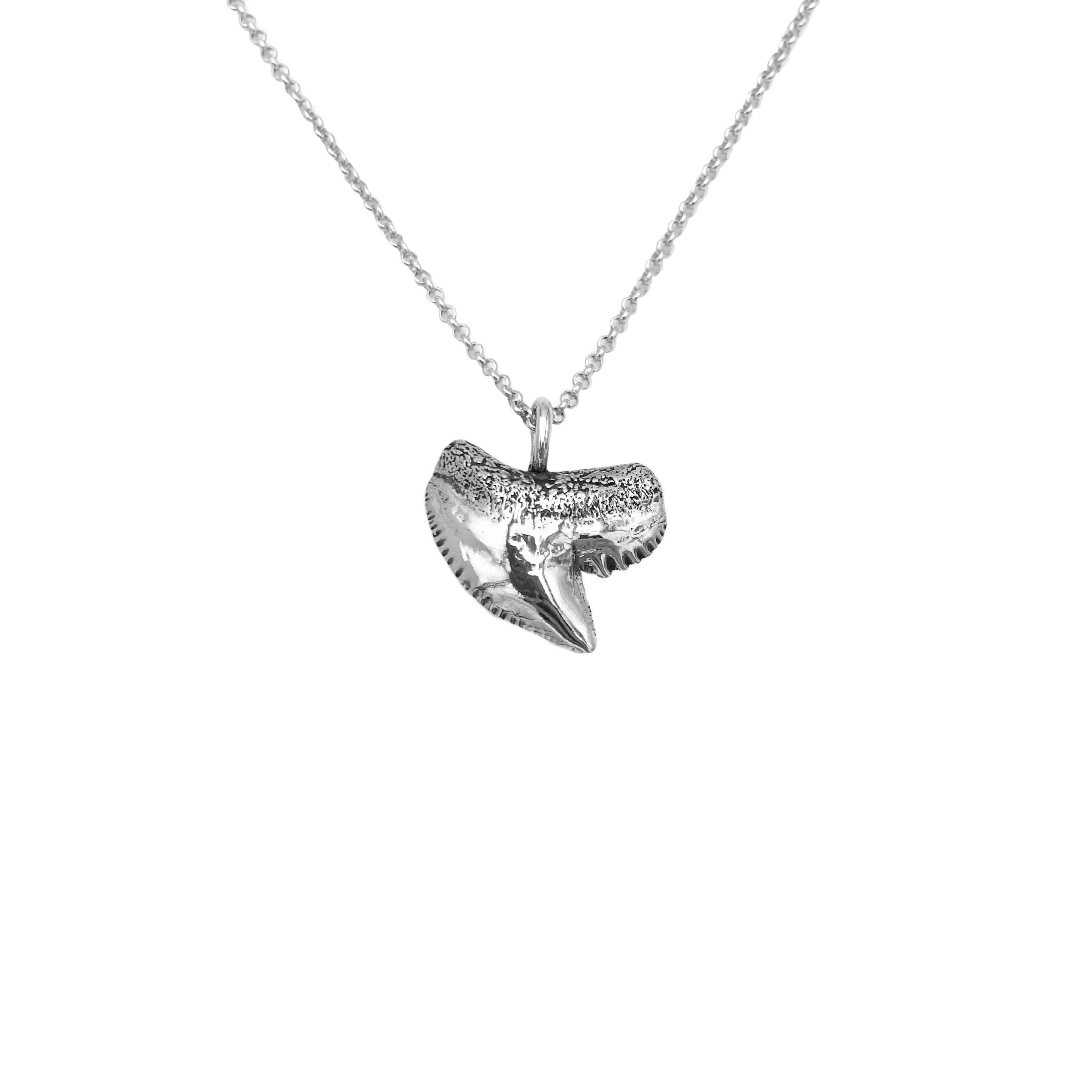 Tiger Shark Tooth Necklace